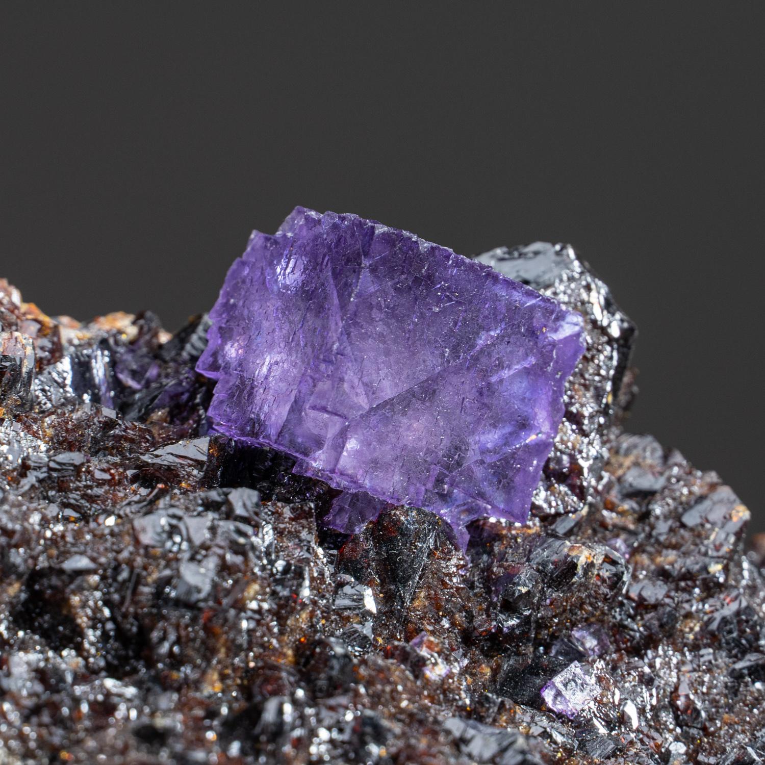 Purple Fluorite Crystals on Sphalerite from Elmwood Mine, Carthage, Smith County In New Condition For Sale In New York, NY
