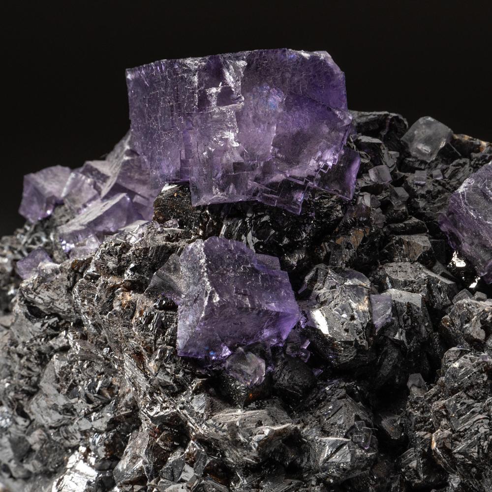 Cristaux de fluorine pourpre sur sphalérite provenant de la mine Elmwoods, Carthage, Smith County en vente 1