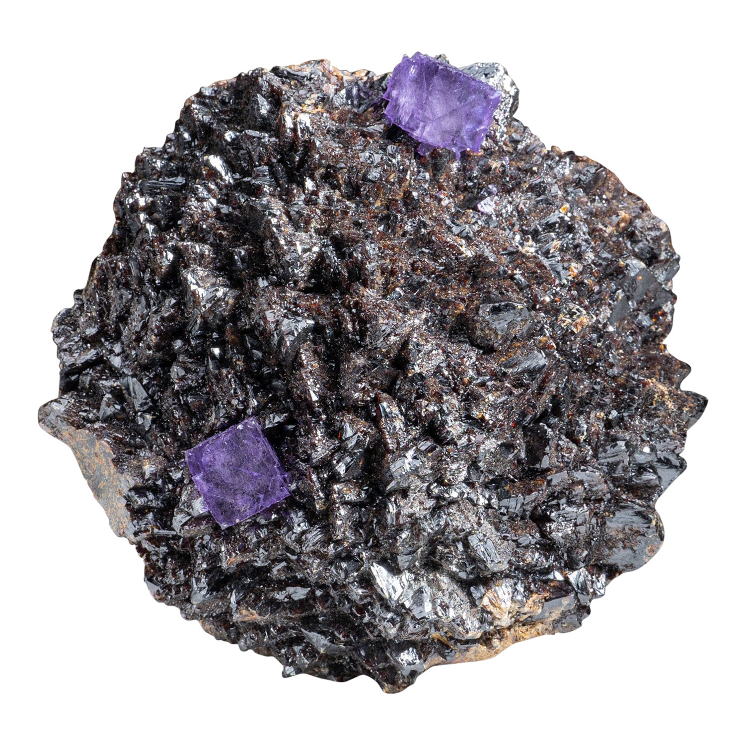 Cristalli di fluorite viola su sfalerite dalla miniera Elmwood, Carthage, Smith County