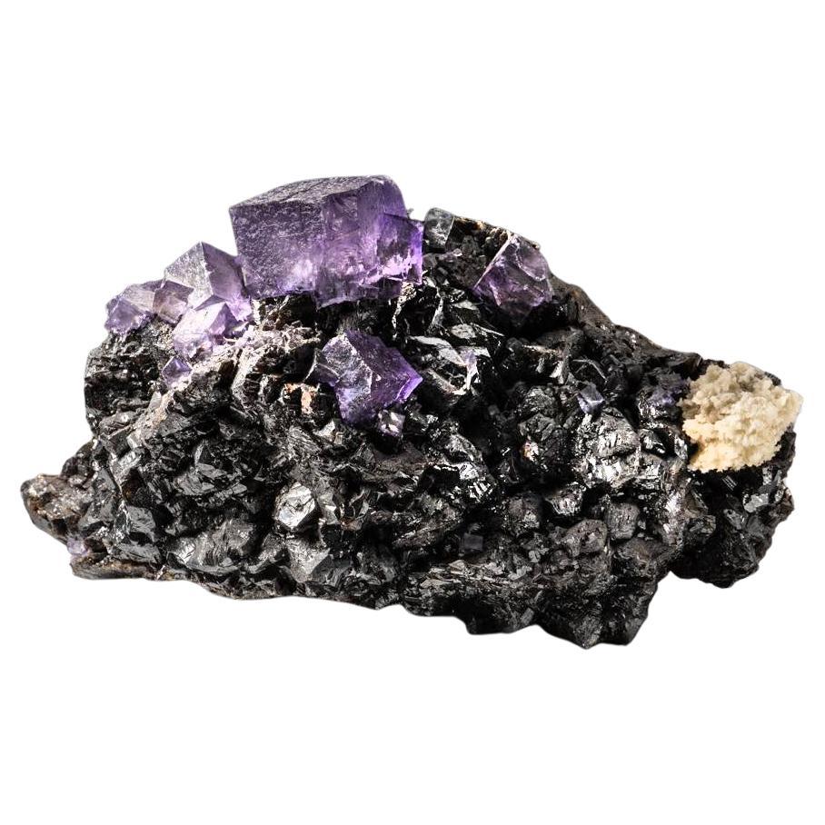 Purple Fluorite Crystals on Sphalerite from Elmwood Mine, Carthage, Smith County