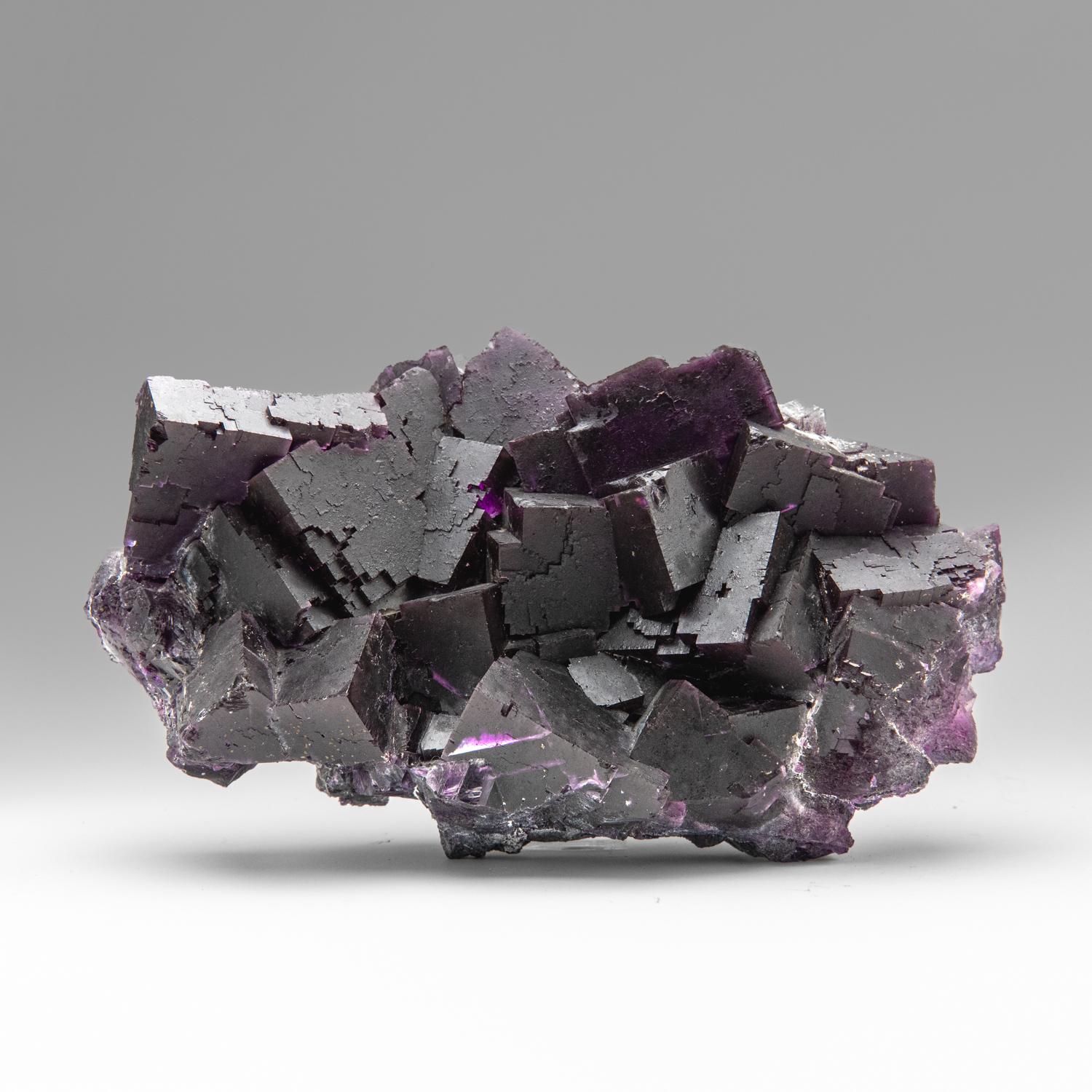Violetter Fluorit aus dem Cave-in-Rock District, Hardin County, Illinois, USA im Angebot 4