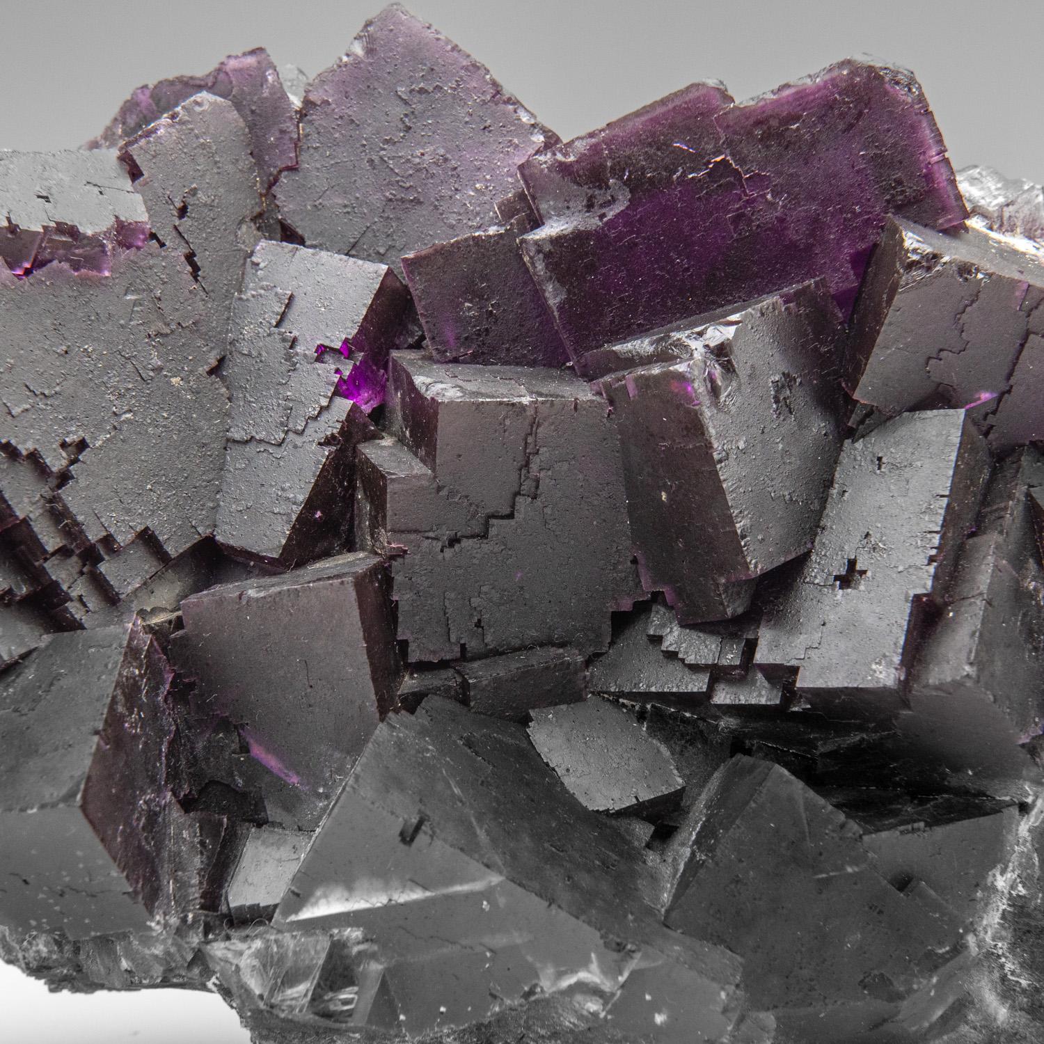 Große Ansammlung von glänzenden kubischen Fluoritkristallen mit Oberflächen, die aus vielen kleineren parallelen kubischen Flächen bestehen. Die Fluoritkristalle haben eine mittelviolette Außenschicht über tiefvioletten Kernzonen. 


Gewicht: 12,8