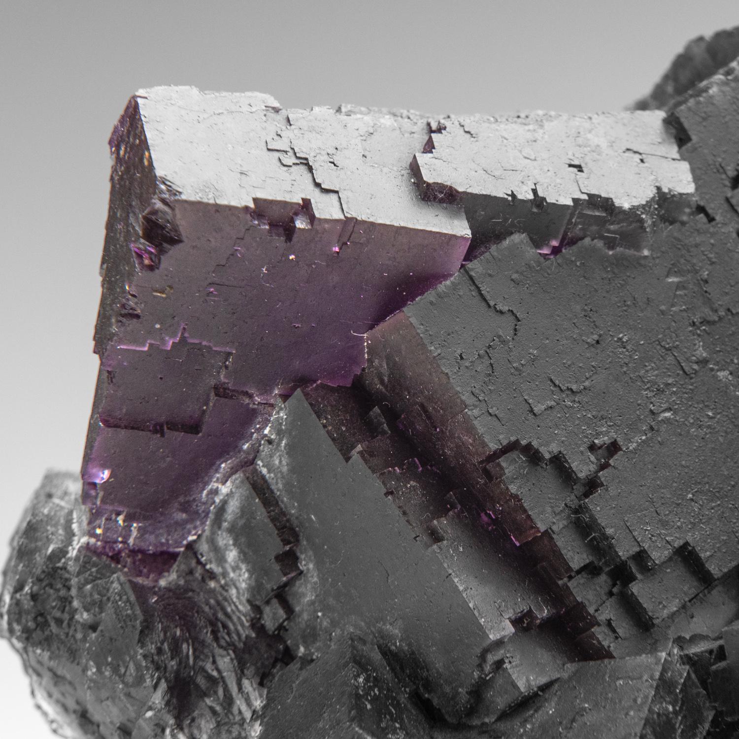 Violetter Fluorit aus dem Cave-in-Rock District, Hardin County, Illinois, USA (amerikanisch) im Angebot