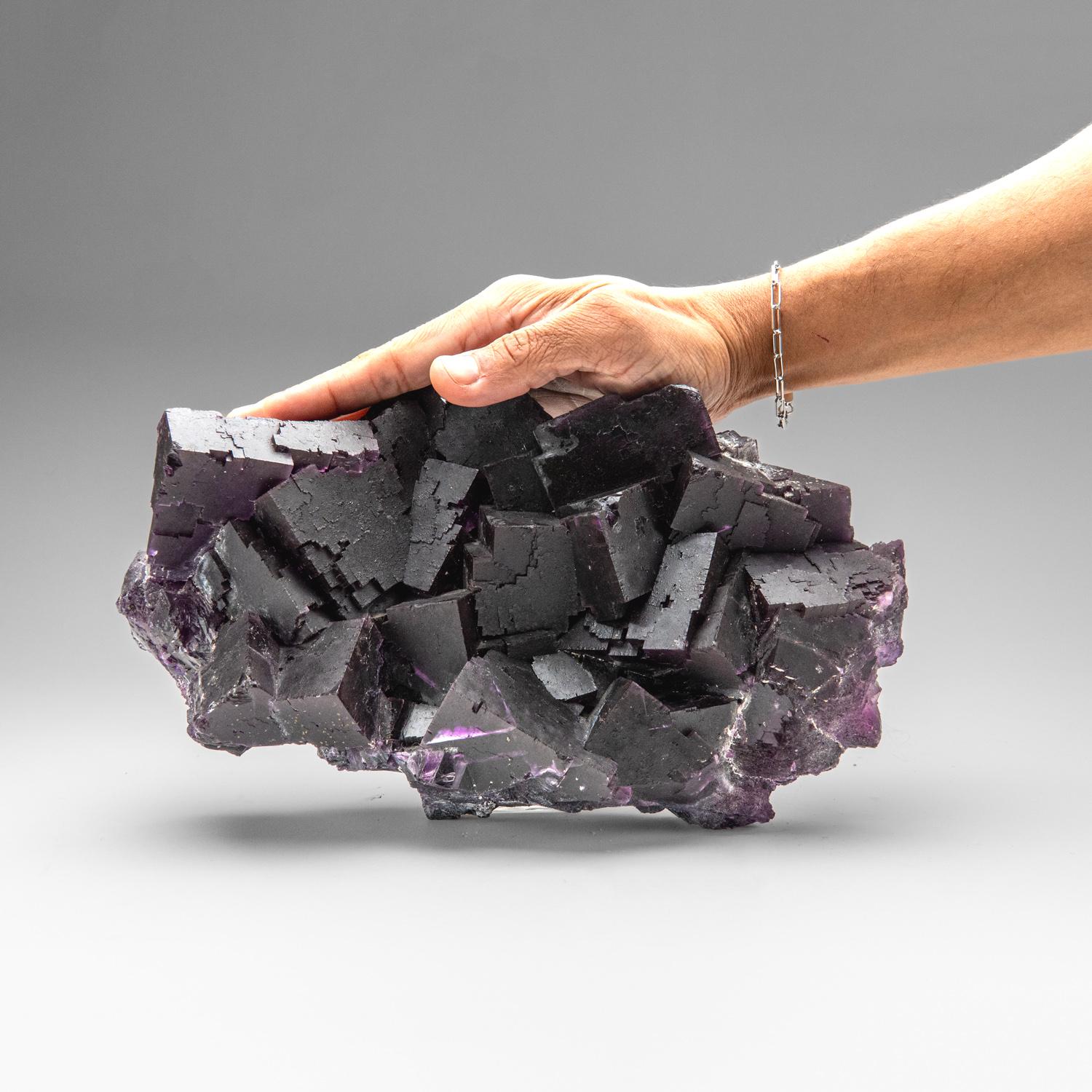 Violetter Fluorit aus dem Cave-in-Rock District, Hardin County, Illinois, USA im Zustand „Neu“ im Angebot in New York, NY