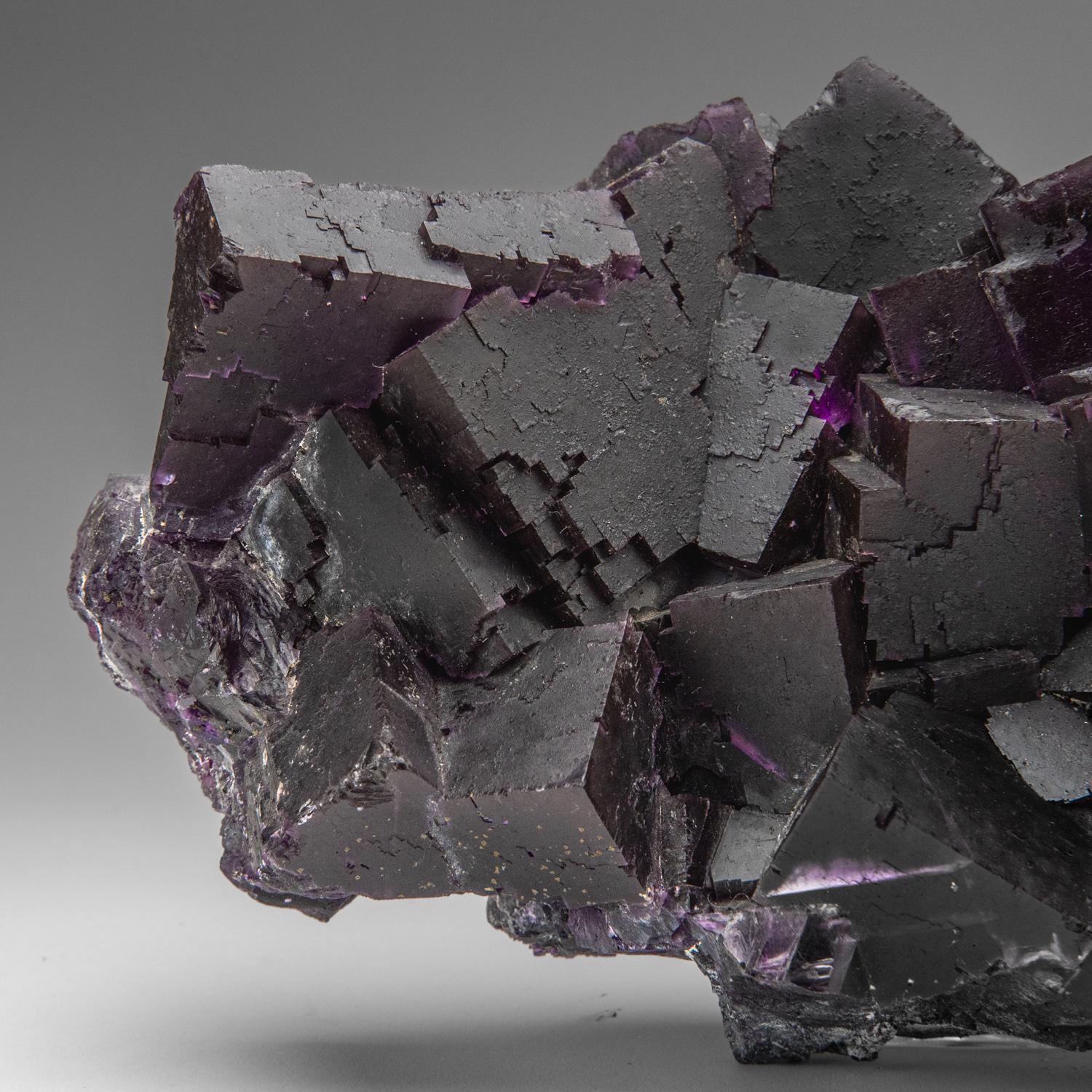 Violetter Fluorit aus dem Cave-in-Rock District, Hardin County, Illinois, USA (21. Jahrhundert und zeitgenössisch) im Angebot