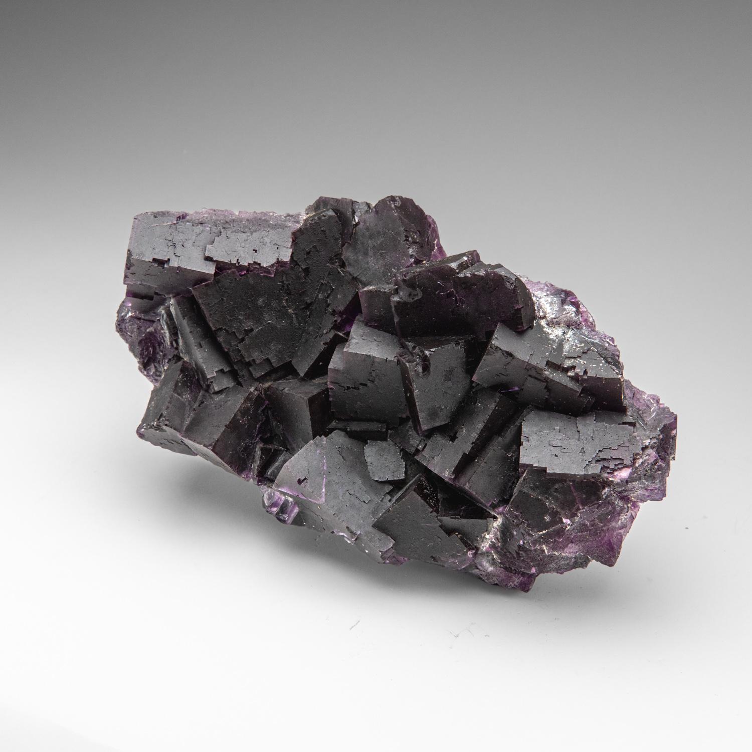Violetter Fluorit aus dem Cave-in-Rock District, Hardin County, Illinois, USA im Angebot 1