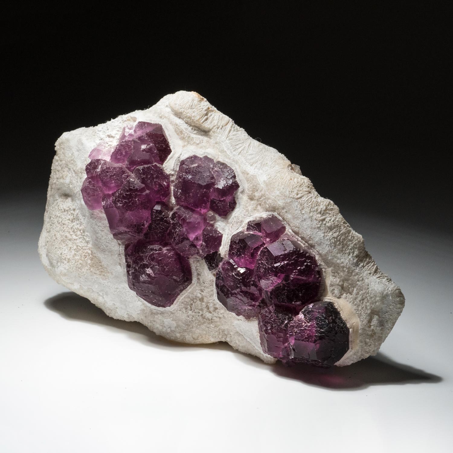 from De Ann Mine, Jiangxi, China

Superb cabinet sized specimen of gem translucent purple dodecahedron fluorite cluster ecthed from Quartz matrix. Deep purple color, crystal faces show stepped growth with a pearl luster.

 

7.5 lbs, 8.5 x 3.5 x 6