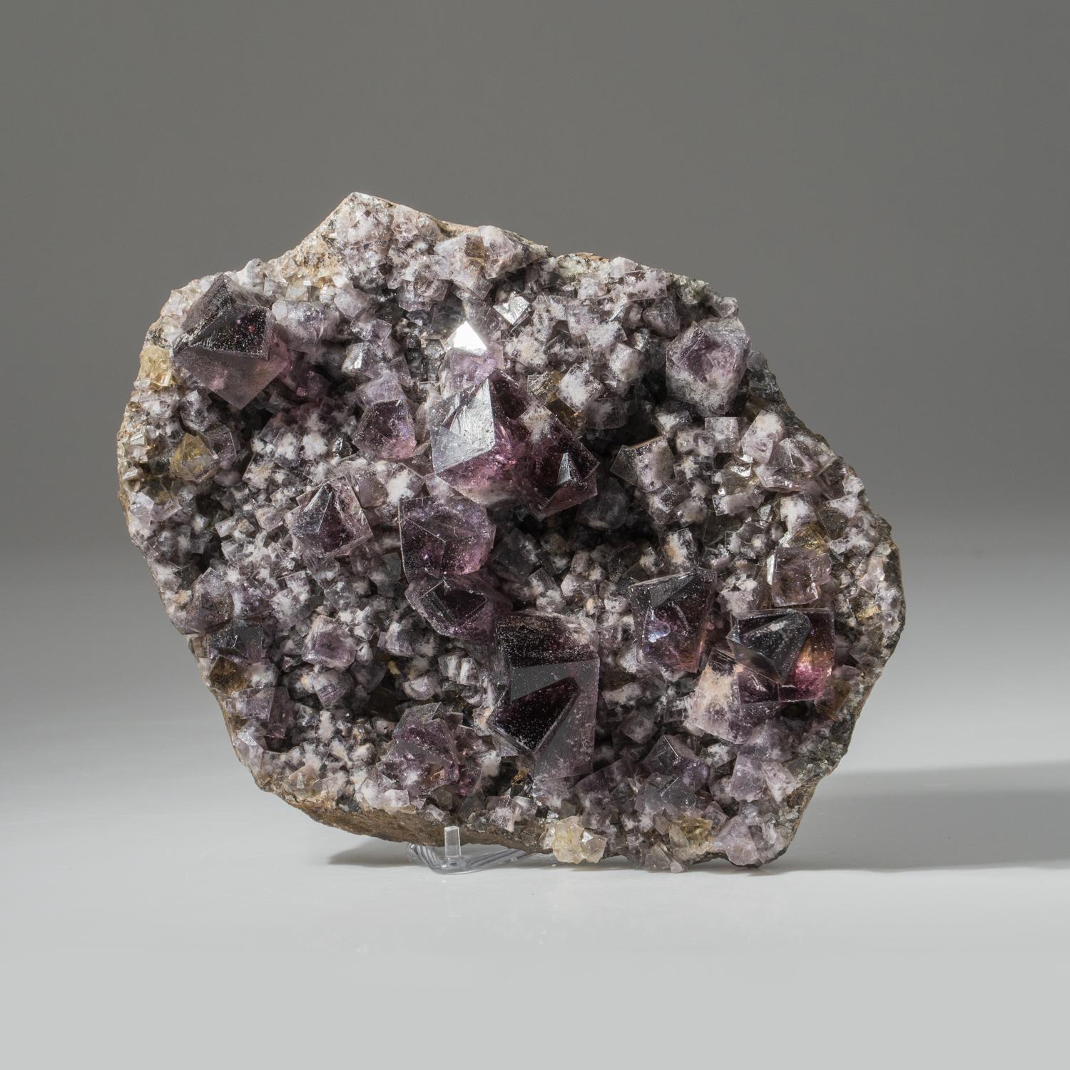 From Greenlaws Mine, Victoria Flatt, Weardale, County Durham, England

Lustrous transparent-to-translucent purple-grey cubic fluorite crystals. The fluorite crystals have purple outer zones over sea-green core zones and they fluoresce bright