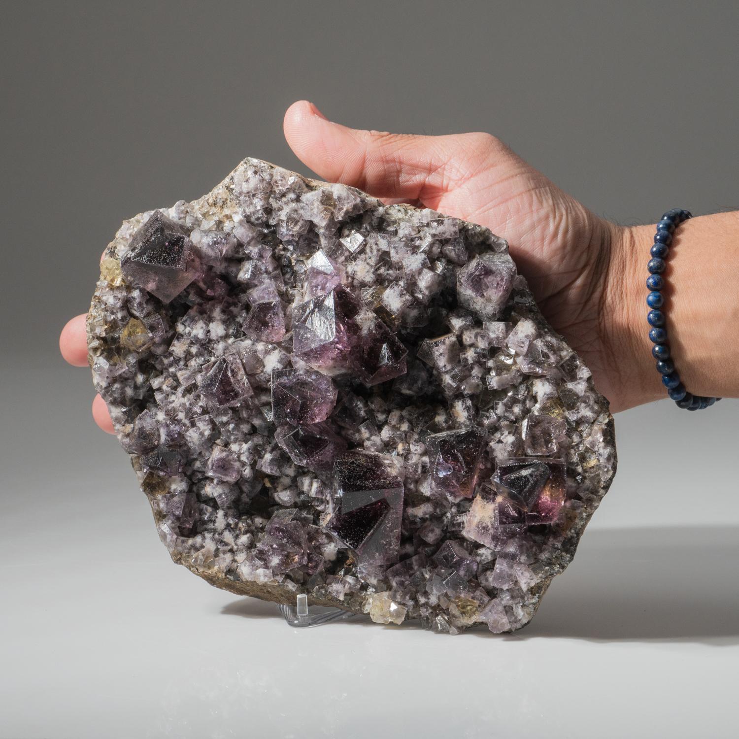 Fluorite viola da Durham, Inghilterra in vendita 1
