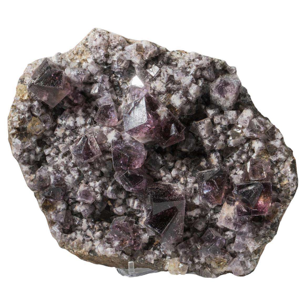 Purple Fluorite from Durham, England For Sale