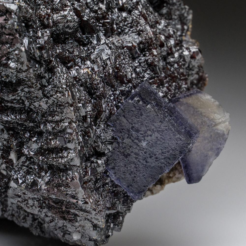 Cristaux cubiques translucides de fluorine violette sur un groupe de cristaux de sphalérite à l'éclat métallique. Les surfaces de fluorine sont composées de petites faces cristallines parallèles accentuées par de petits amas microcristallins de