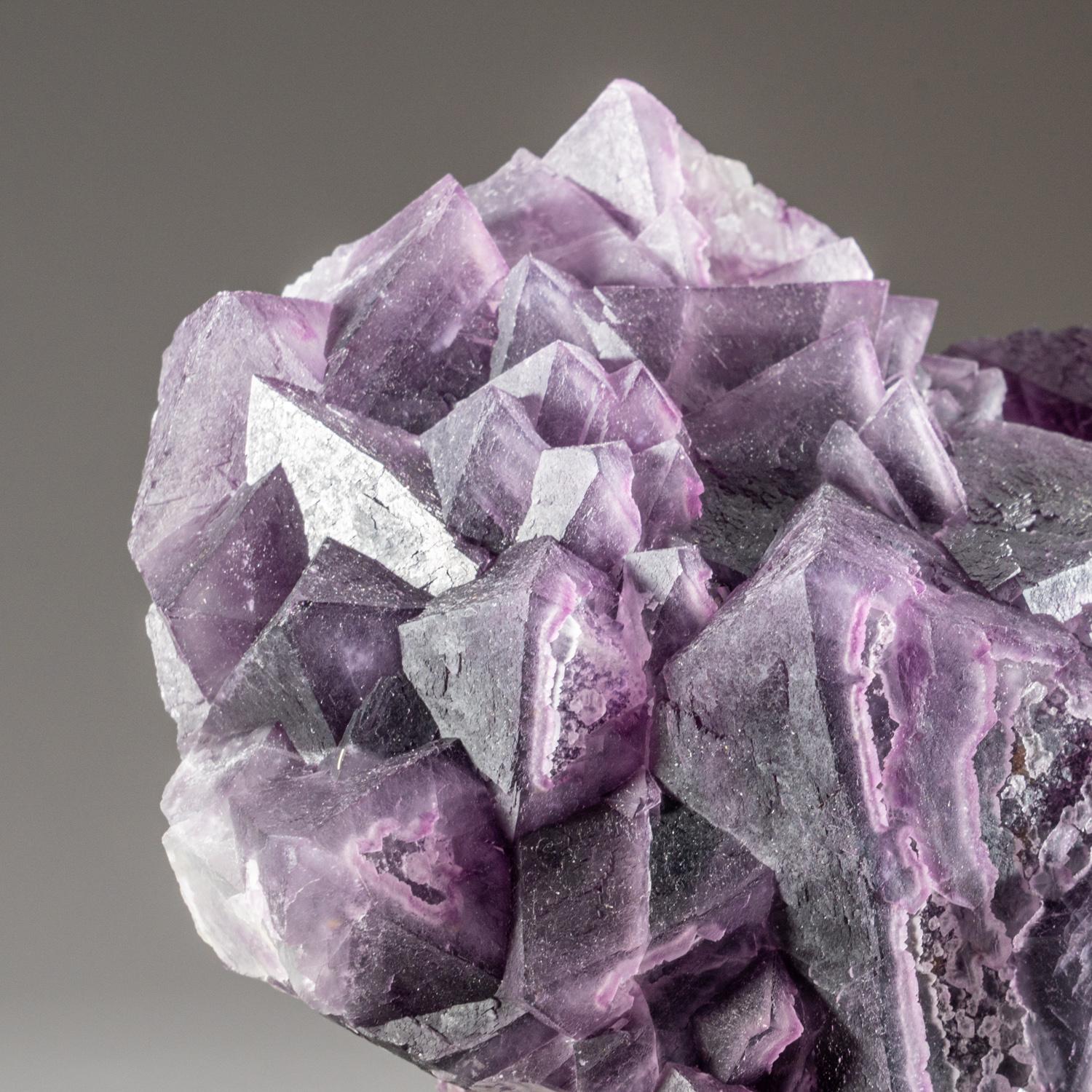 Large cluster of lustrous cubic fluorite crystals with surfaces composed of many smaller parallel cubic faces. The fluorite crystals have medium-purple outer layer over deep-purple core zones.

 

Weight: 3.7 lbs, Size: 6 x 5 x 3 inches.