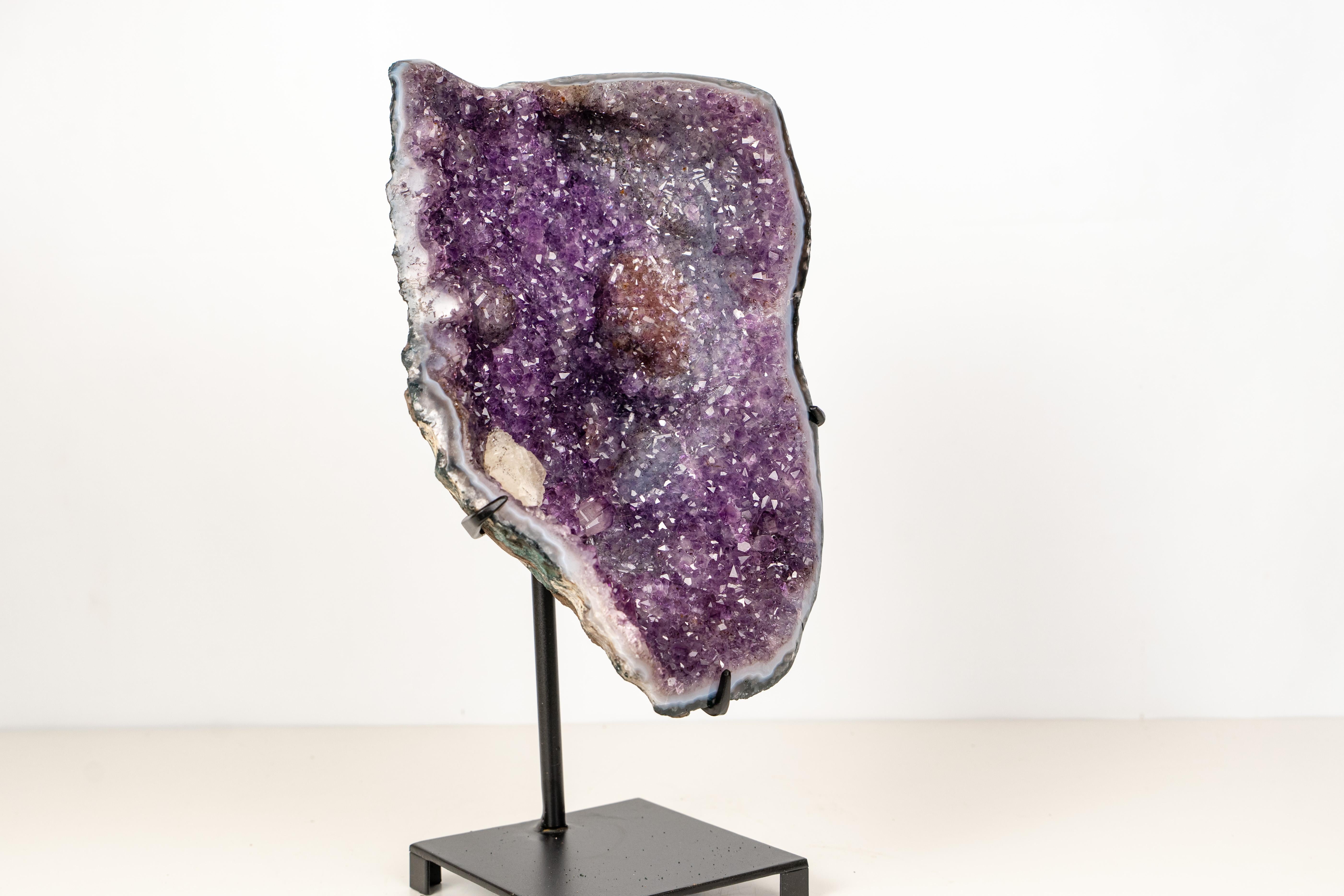 Funkelnd, selten und schön: Amethyst-Cluster mit Einschlüssen und Galaxy-Druzy

▫️ Beschreibung

Dieser wunderschöne Amethyst-Cluster weist eine schillernde Galaxy-Druzy-Oberfläche auf, die mit seltenen goldenen Goethit-Einschlüssen gefüllt ist. Es