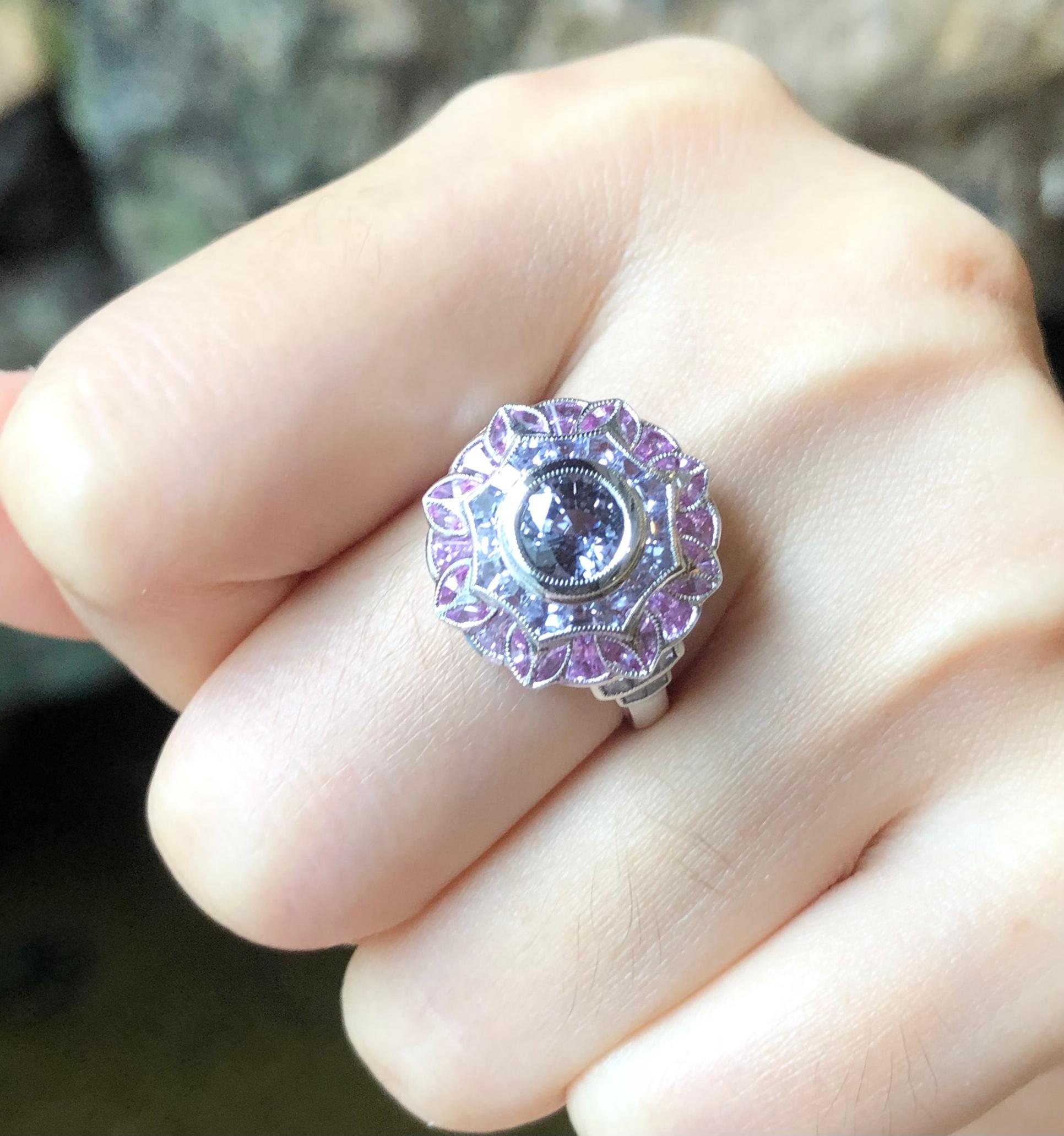 Purple Sapphire with Pink Sapphire Ring Set in 18 Karat White Gold Settings For Sale 1