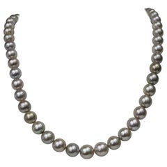 Purple Silver Tahitian Round Necklace with Gold Clasp