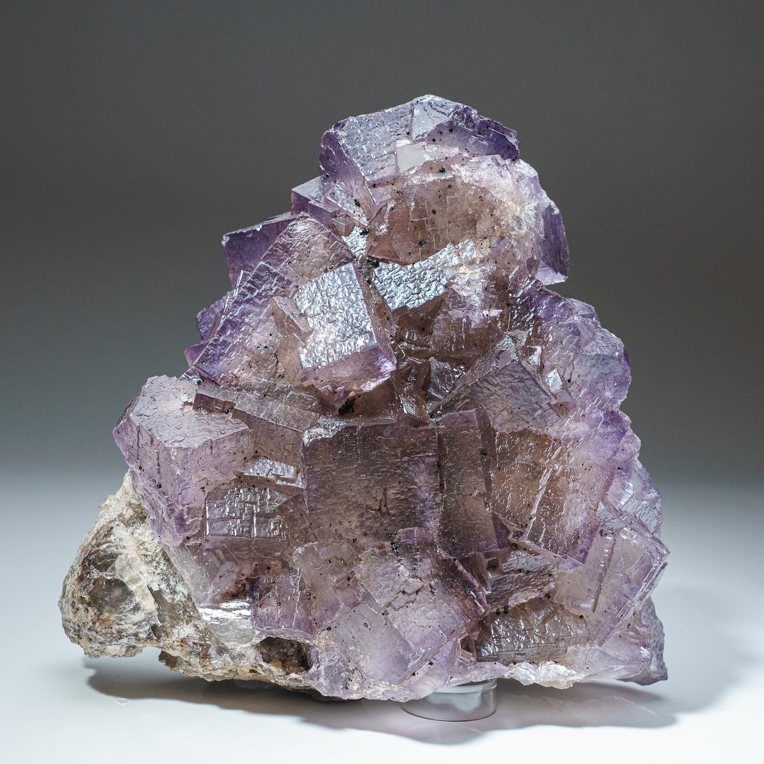Purple Yellow Fluorite from Elmwood Mine, Carthage, Smith County, Tennessee.

Transparent 3D cubic formation of bi colored purple fluorite with gem yellow core. Bright vibrant core with purple phantom zoning outlining the crystal faces. 

Weight: