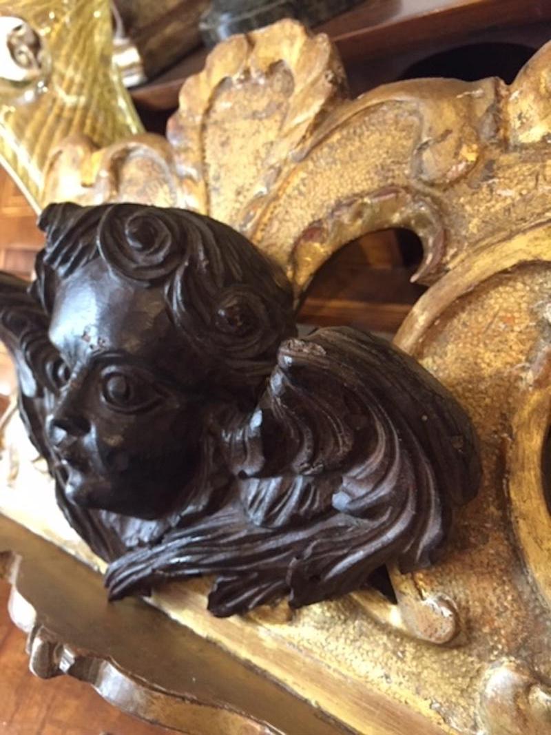 European Winged Putto Italian Sculpture 1700 Face of Angel in Carved Wood  For Sale