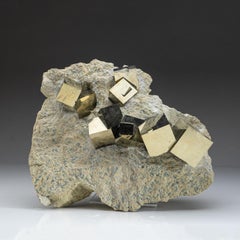 Pyrite Clusters on Basalt From Navajun, Spain
