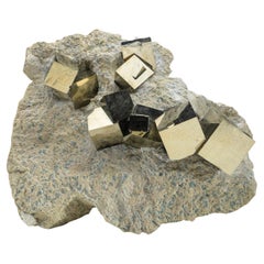 Pyrite Clusters on Basalt From Navajun, Spain