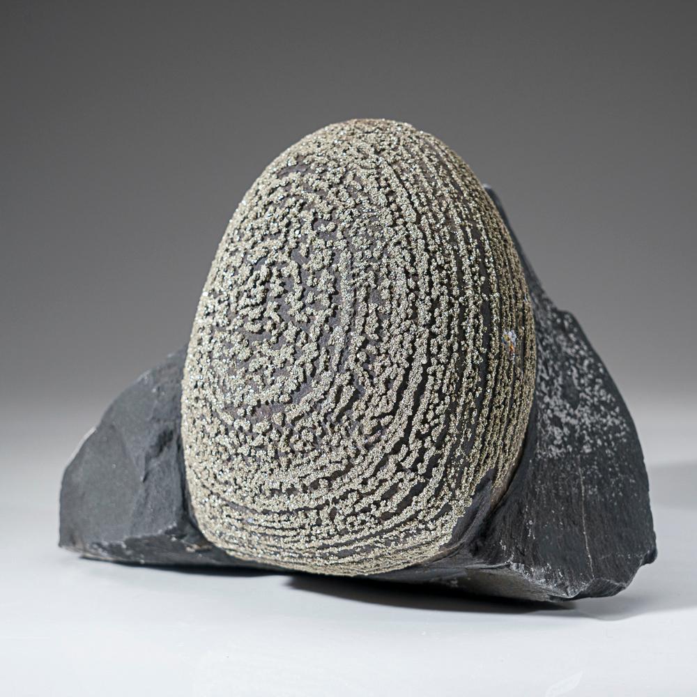 Chinese Pyrite Concretion (Boji Stone) From Dongchuan District, Yunnan Province, China  For Sale
