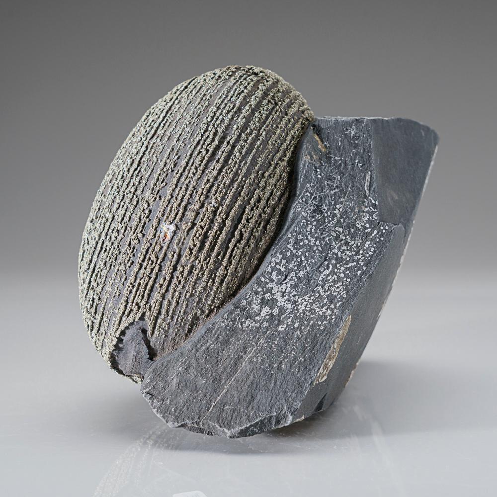 Pyrite Concretion (Boji Stone) From Dongchuan District, Yunnan Province, China  In New Condition For Sale In New York, NY