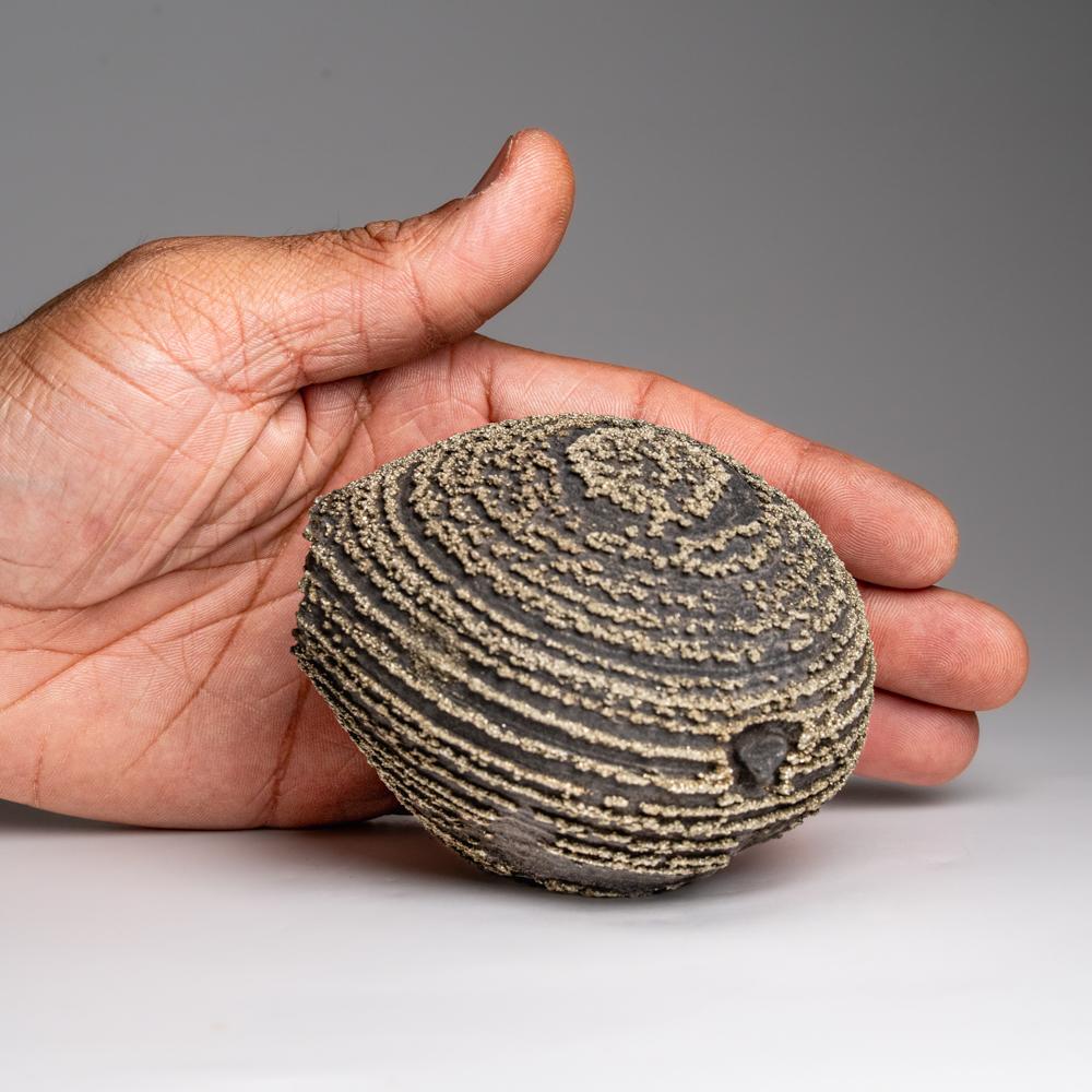 Chinese Pyrite Concretion from Dongchuan District, Yunnan Province, China For Sale