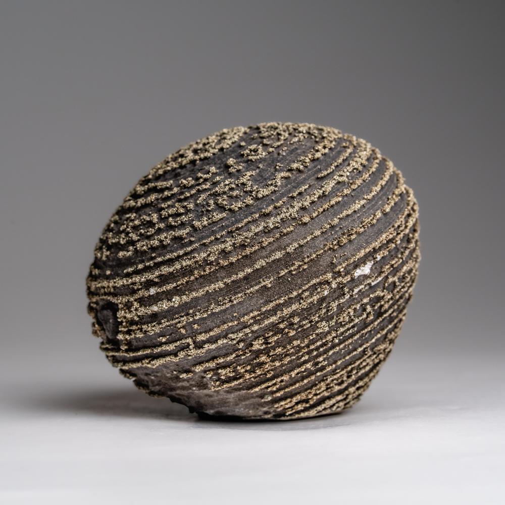 Pyrite Concretion from Dongchuan District, Yunnan Province, China In New Condition For Sale In New York, NY