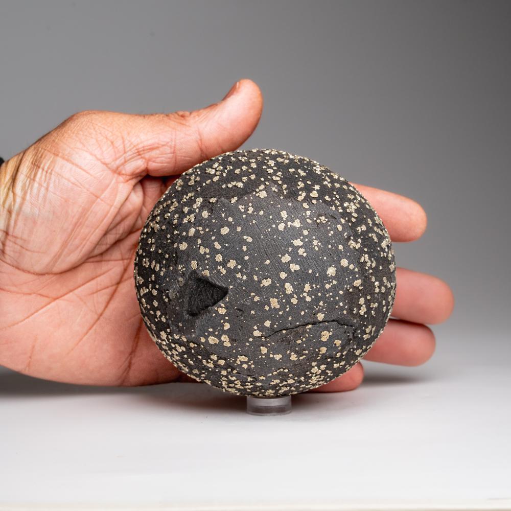 Pyrite Concretion from Dongchuan District, Yunnan Province, China In New Condition For Sale In New York, NY