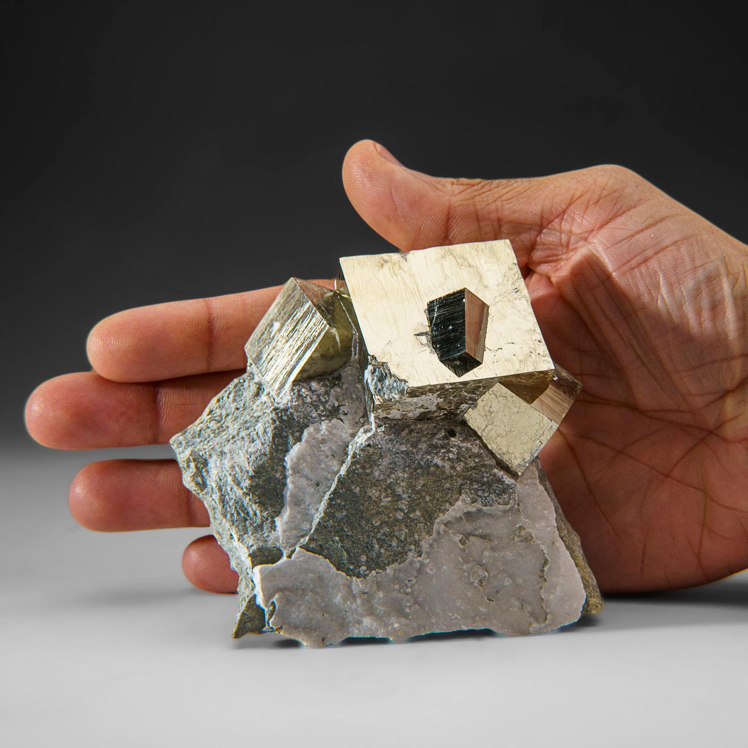 Spanish Pyrite Cube on Basalt from Navajún, La Rioja Province, Spain (1.2 lbs) For Sale