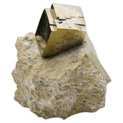 Cube de pyrite sur basalte de Navajún, Province de La Rioja, Espagne (1.2 lbs)