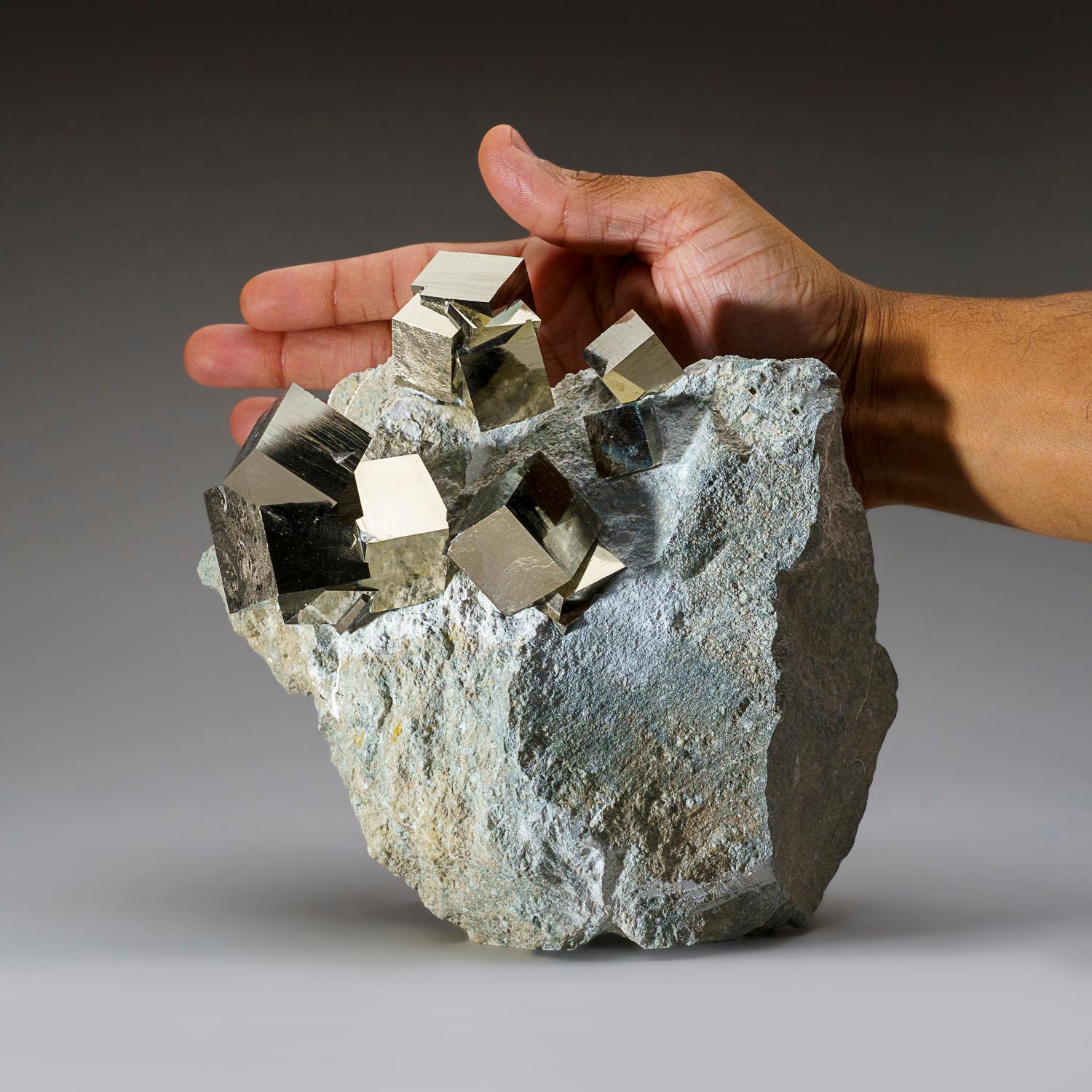 Pyrite Cube on Basalt from Navajún, La Rioja Province, Spain (7 lbs) In New Condition For Sale In New York, NY