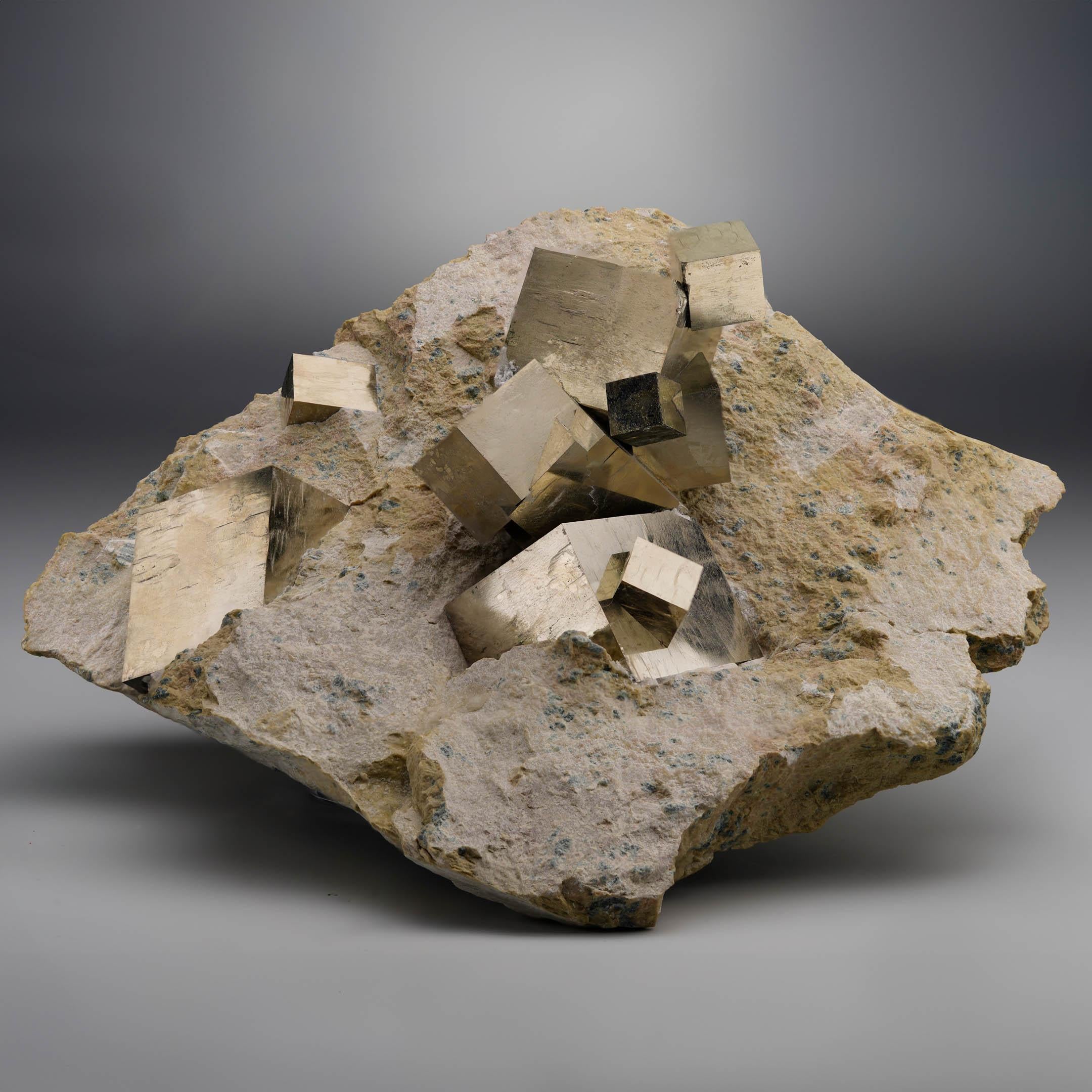 This exceptional large cabinet size cubic Pyrite specimen from Navajún, Spain showcases striking golden cubes situated dramatically on natural limestone matrix. Renowned worldwide for their geometric precision and metallic brilliance, Spanish Pyrite