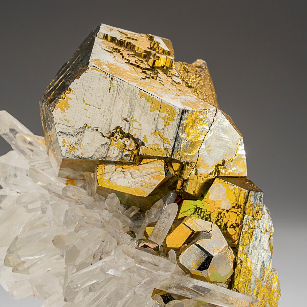From Spruce Claim, King County, Washington

Cluster of rectangular pyrite crystals with many lustrous transparent colorless quartz crystals. The quartz crystals are slender elongated hexagonal prisms, many with terminations that are dominated by a