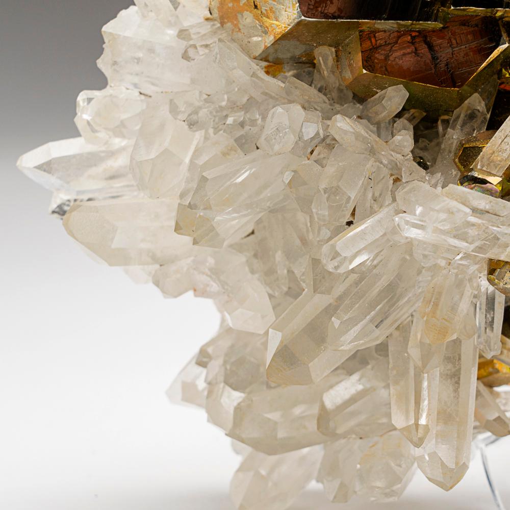 Américain Pyrite sur quartz de Spruce Claim, King County, Washington en vente
