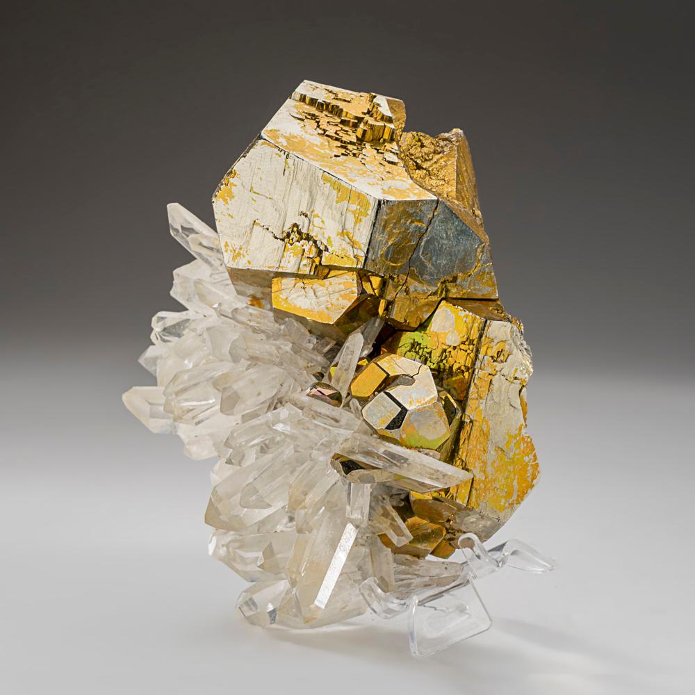 Cristal Pyrite sur quartz de Spruce Claim, King County, Washington en vente
