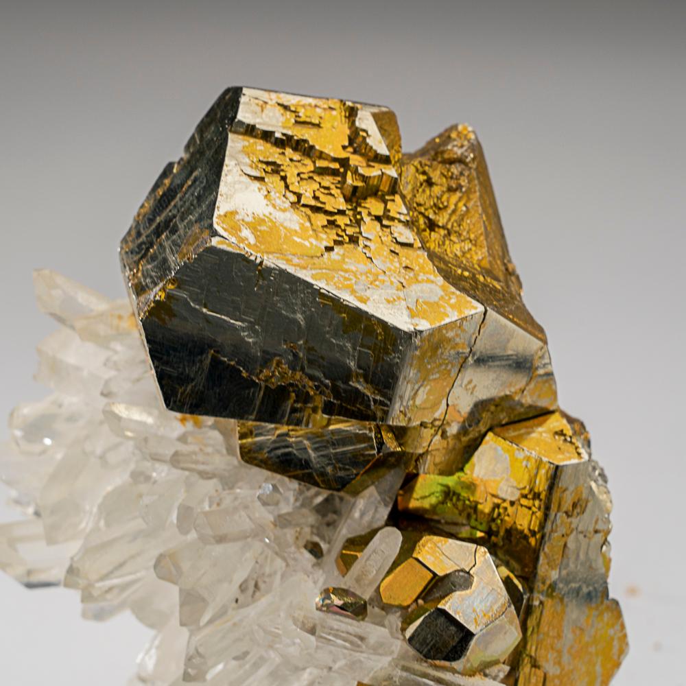 Pyrite sur quartz de Spruce Claim, King County, Washington en vente 1