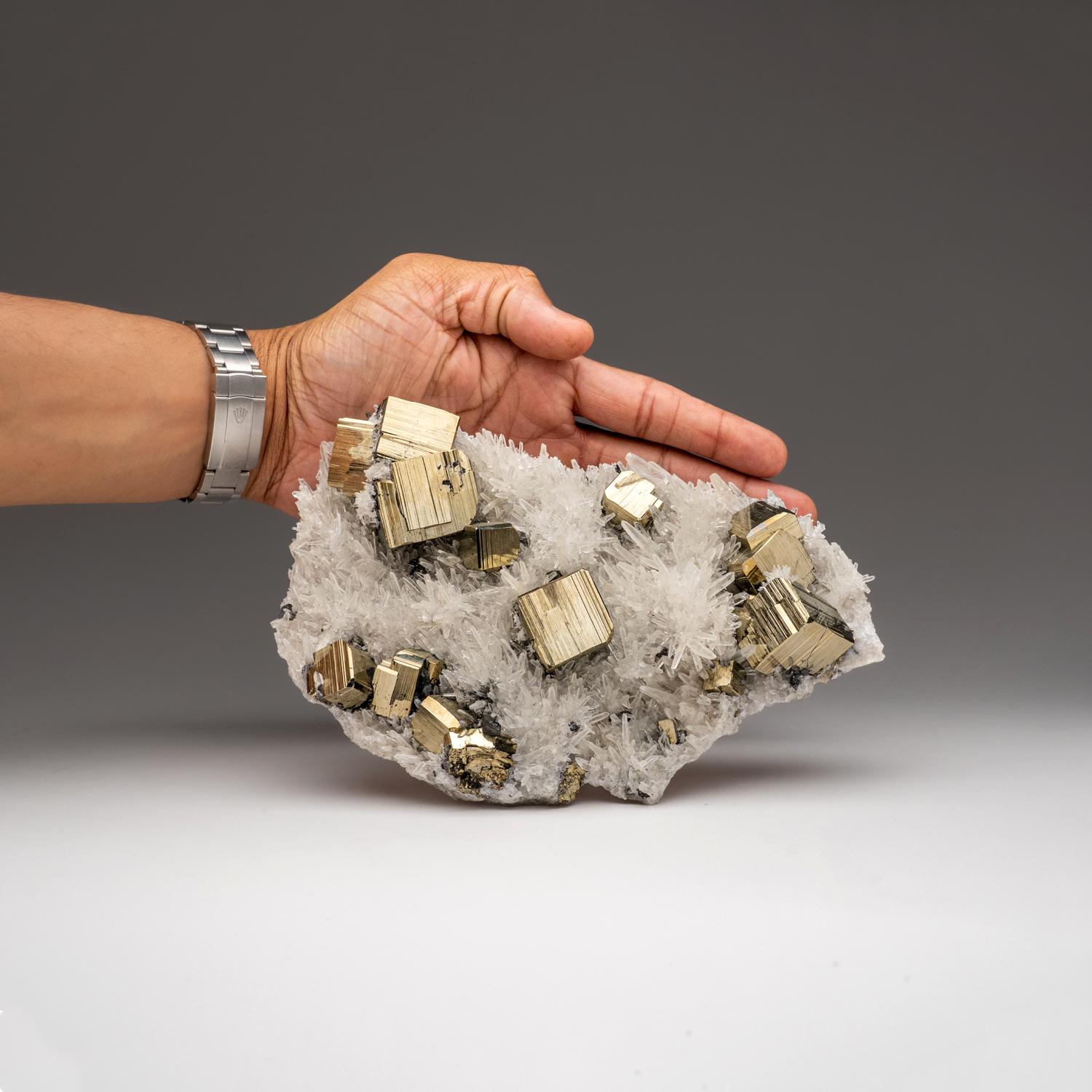 Dal distretto di Huaron, provincia di Cerro de Pasco, dipartimento di Pasco, Perù.

Complesso ammasso di cristalli di quarzo incolori intercoltivati con cristalli cubici di pirite gialla metallica. 

Peso: 2,3 lbs, Dimensioni: 8 x 2 x 5 pollici