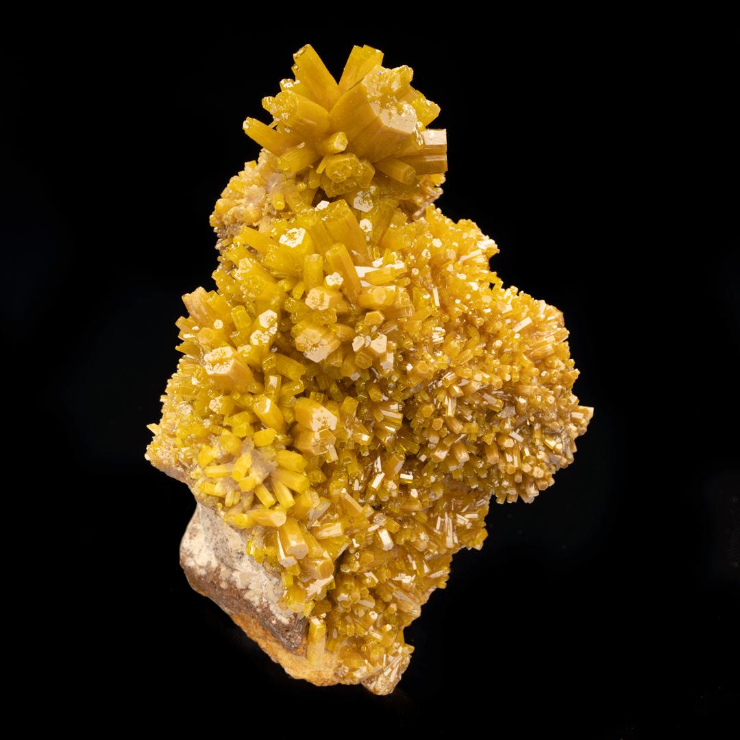 Bunker Hill Mine, Idaho

This excellent quality, yellow-green pyromorphite specimen features beautifully well-defined hexagonal prismatic hopper crystals. Some of the world's finest pyromorphites come out of the historical Bunker Hill mine in Idaho