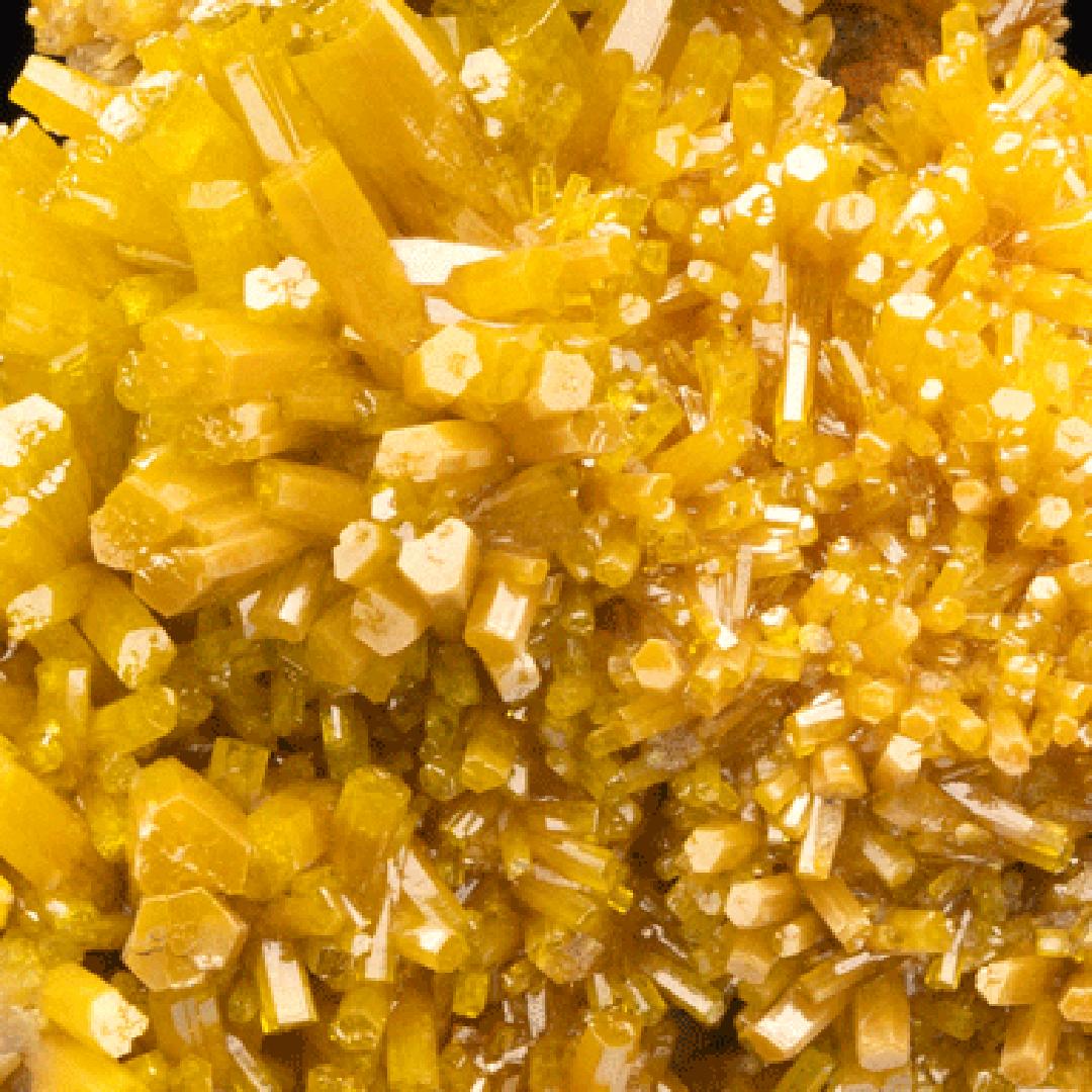 Crystal Pyromorphite From Bunker Hill Mine, Idaho For Sale