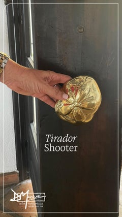 PYT031 FLOWER DOOR HANDLE created by David Marshall in cast brass handcrafted