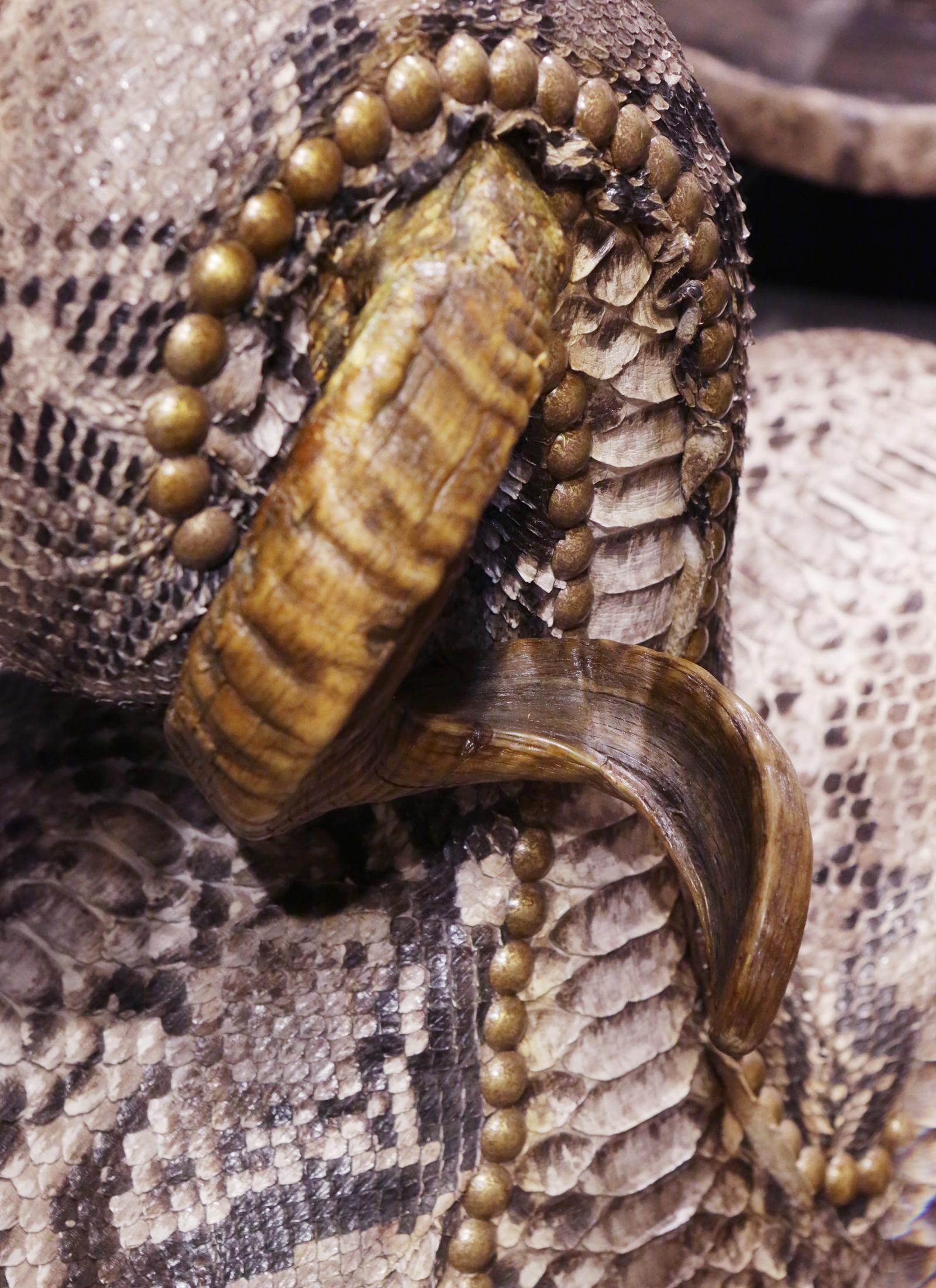 Chaise moyenne en python avec cornes de Kudu polies en vente 2