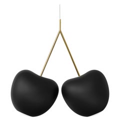 Modern Plastic Matte Black Cherry Pendant Decorative Lamp