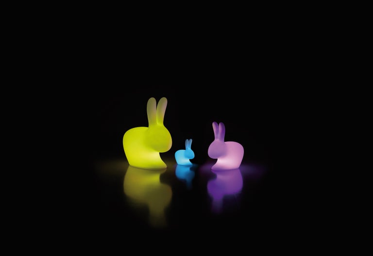 Rabbit is a family of products with a strong media impact, one of Stefano Giovannoni's hat tricks, and immediately became a pop icon, a symbol of love and fertility, which brings good luck and good wishes. The idea of the rabbit, a gentle, lovable