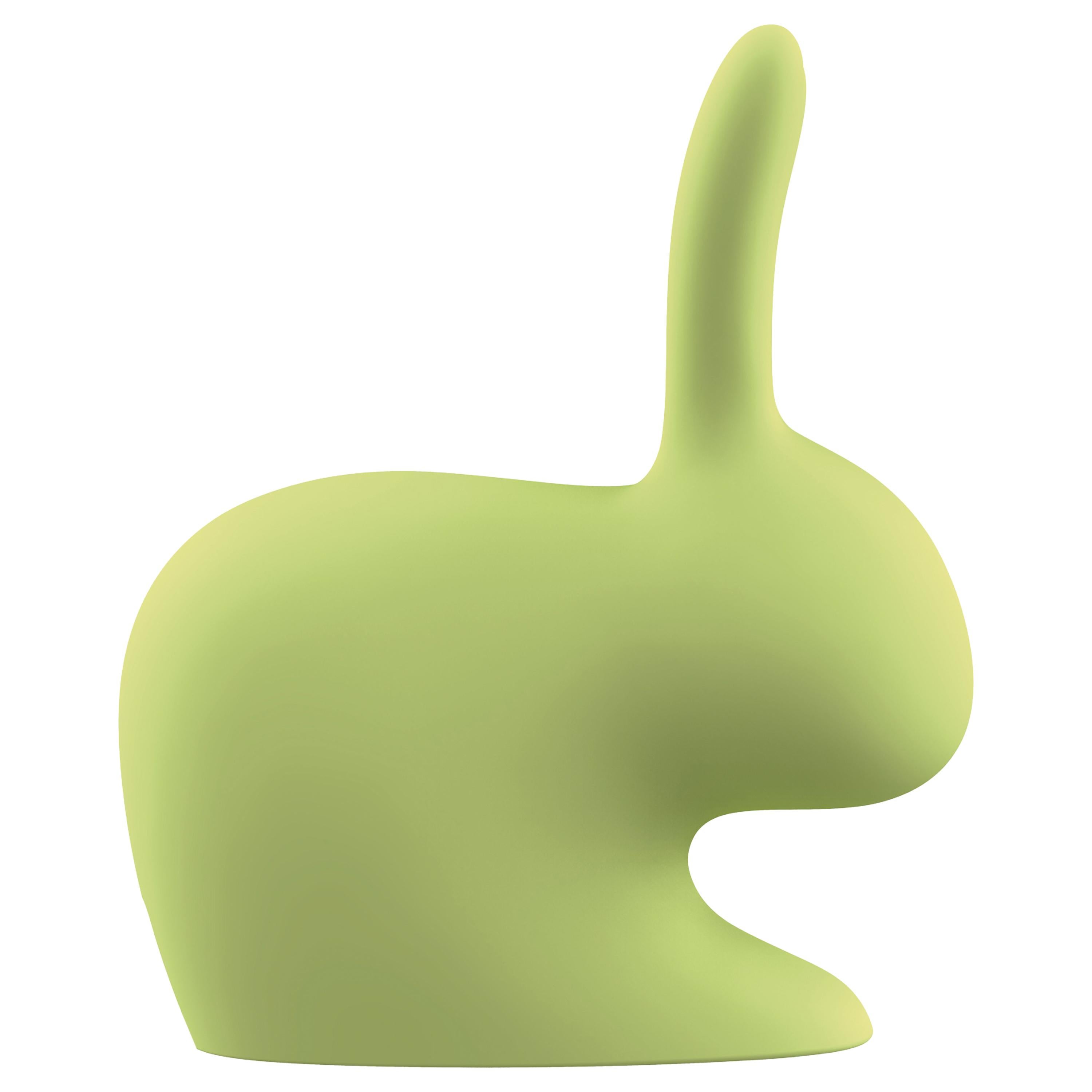 Green Modern Pink Green Blue or Gray Rabbit External Battery or Sculpture