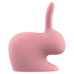 Coniglio moderno rosa verde blu o grigio Batteria esterna o scultura