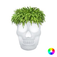 Modern White Mexican Calabera Planter Lamp By Studio Job