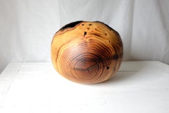 Qercus Rubra #1 by Marco Bellini