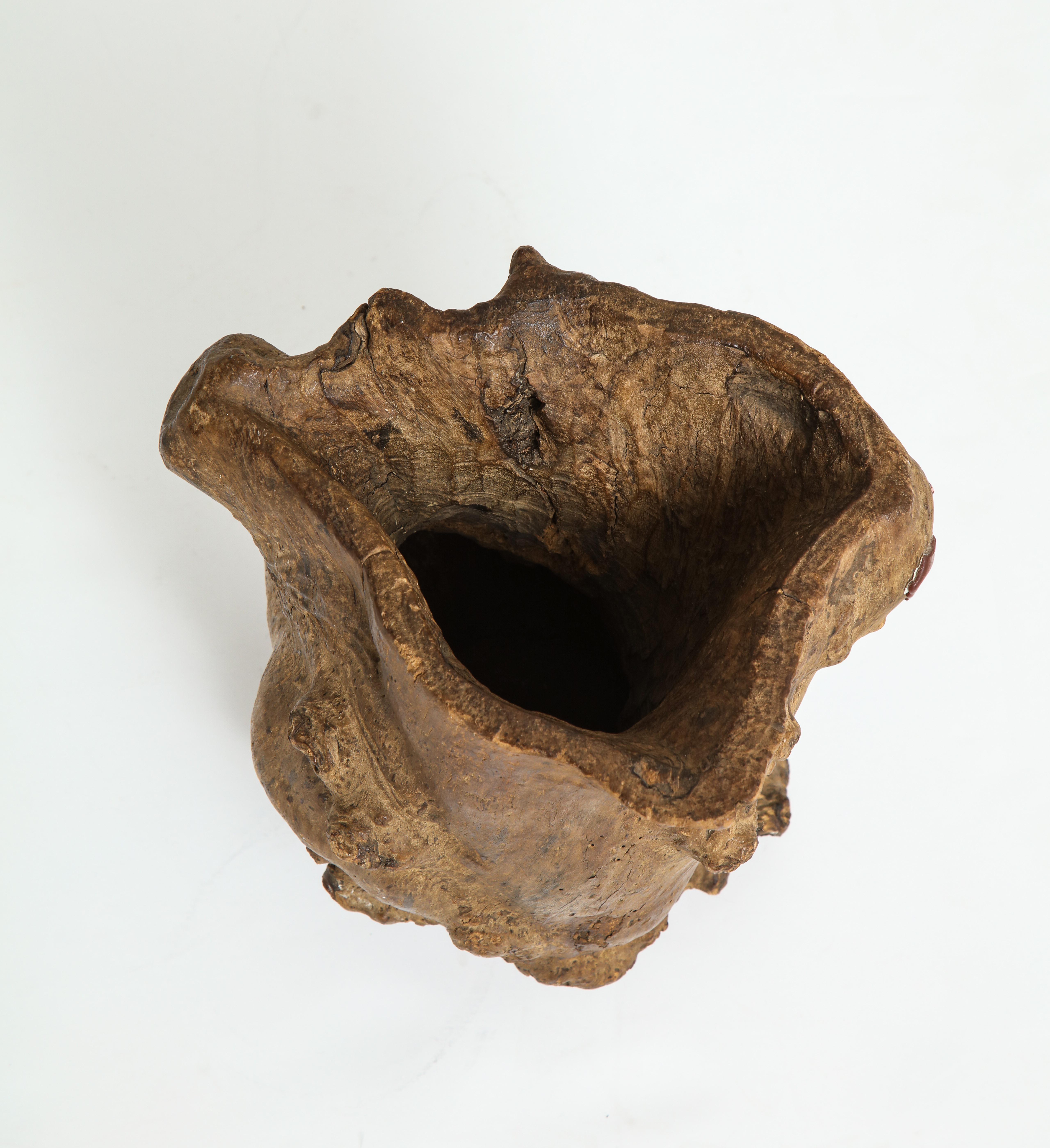 Qing Dynasty Burl Scroll Pot 'Scholars Pot', China For Sale 10