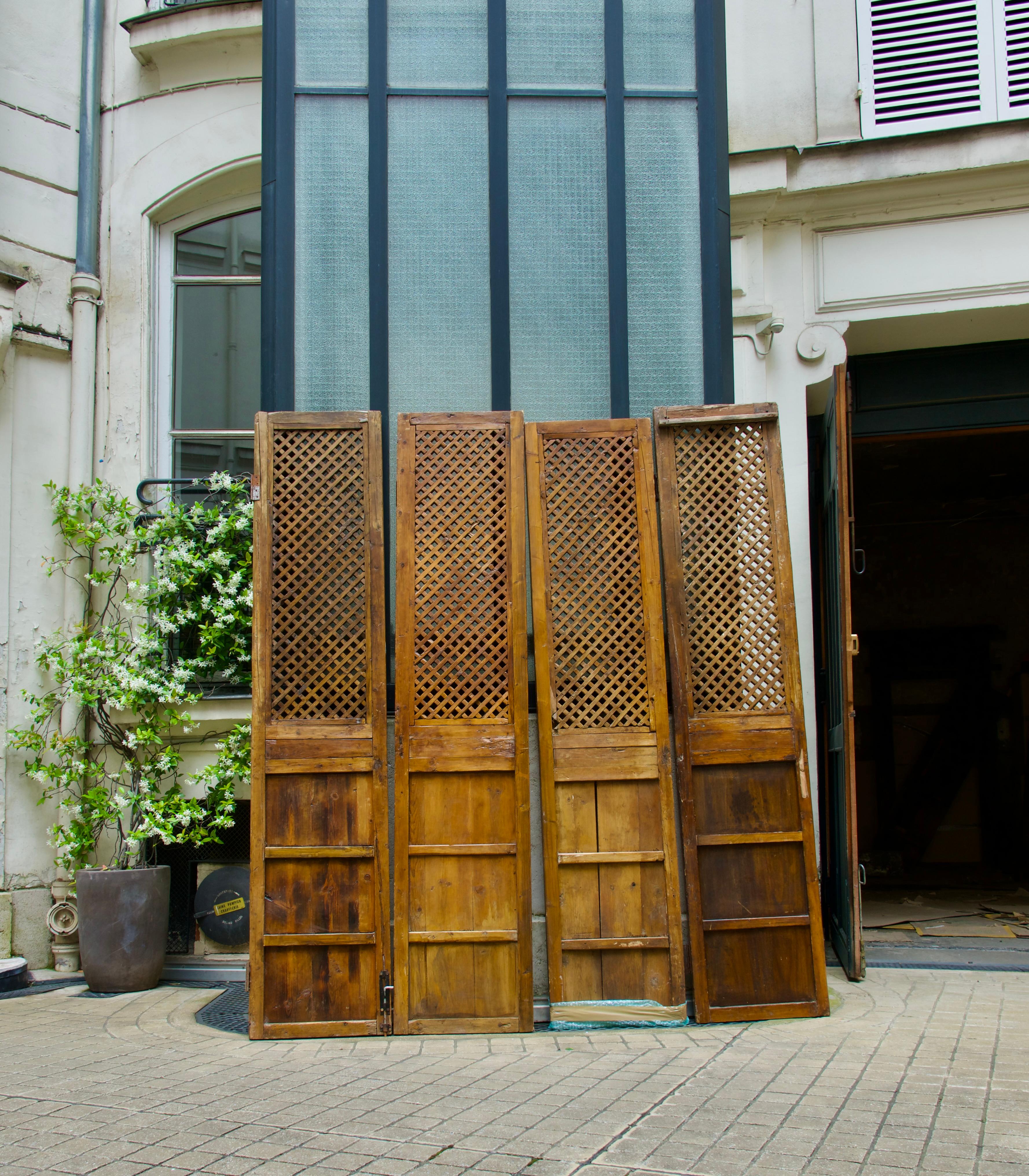 Qing Dynasty (1644 - 1912), Four Claustra Sliding Doors, China 19th/20th Century 2