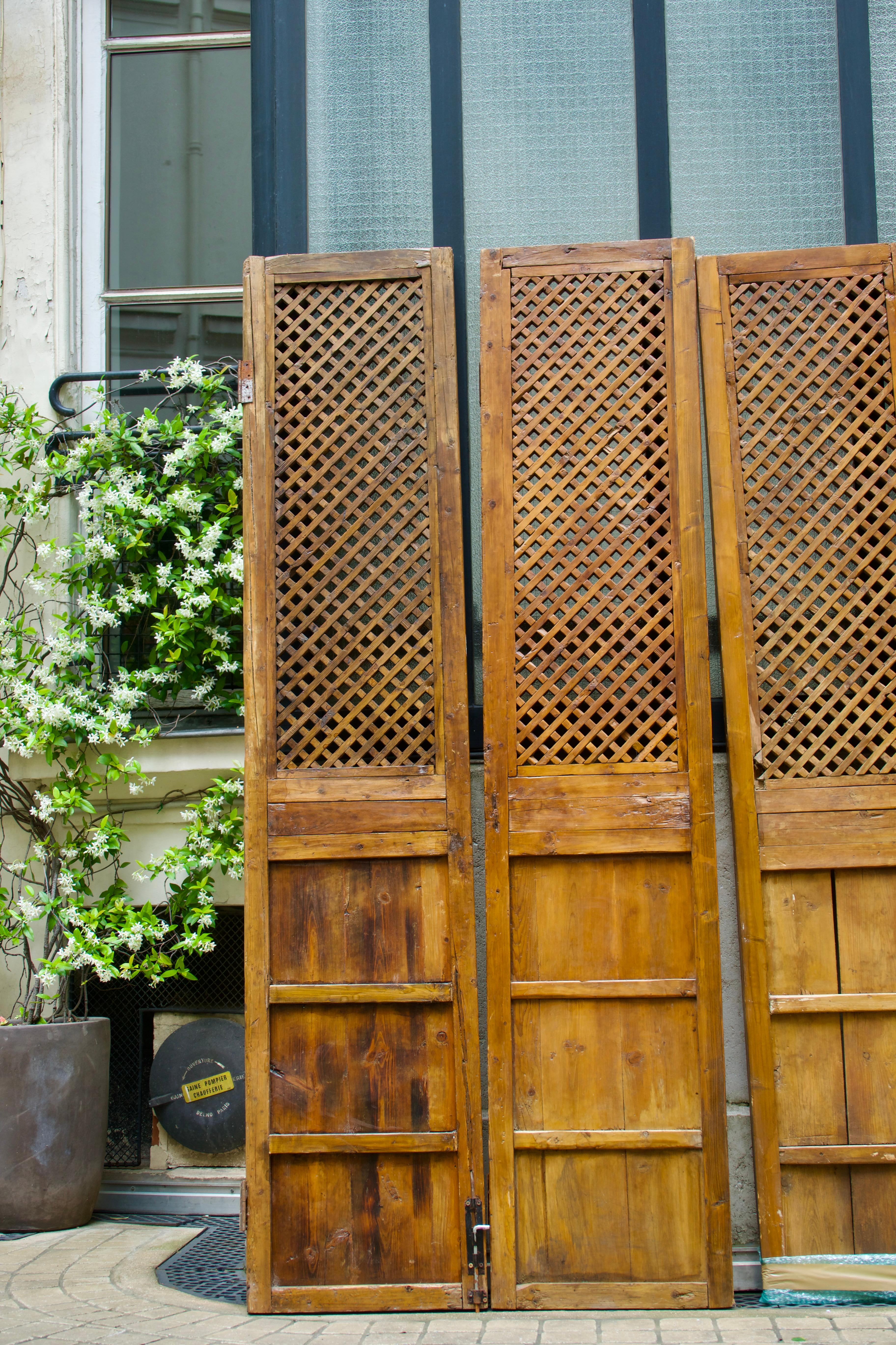 Qing Dynasty (1644 - 1912), Four Claustra Sliding Doors, China 19th/20th Century 3